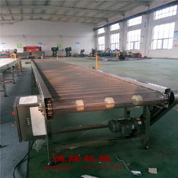 德隆工廠直銷 不銹鋼網帶傳送帶自動化輸送設備，食品專用解決方案