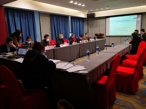 我院技術咨詢成果顯著 恒大童話山水城桐溪古鎮項目順利通過省綠專委評審